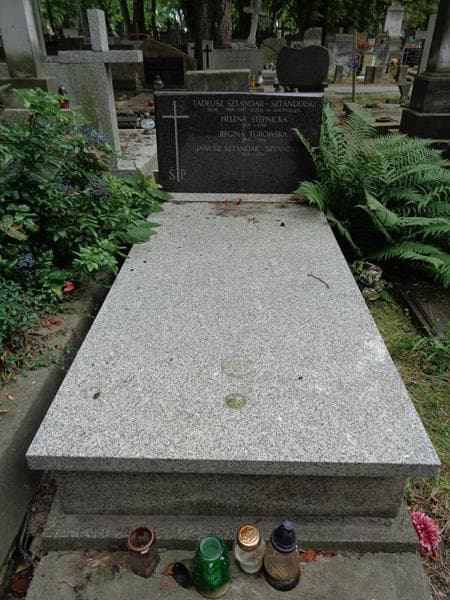 Zdjęcie grobu Regina Torowska (1)