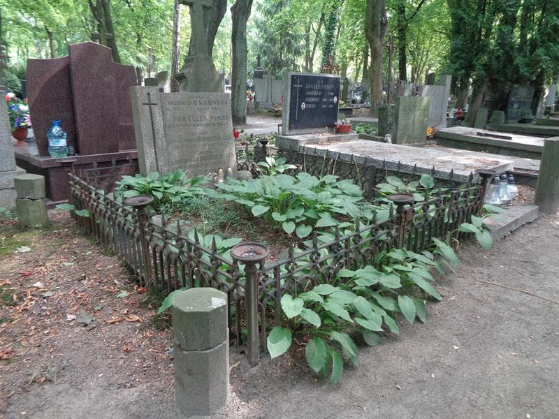 Zdjęcie grobu: Jerzy Dobrzeniecki