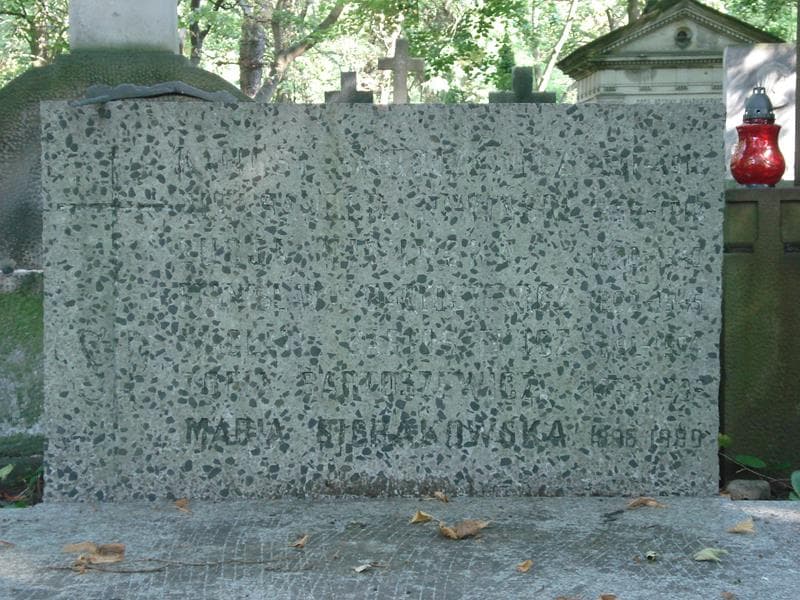 Zdjęcie grobu Kalikst Bartoszewicz (2)