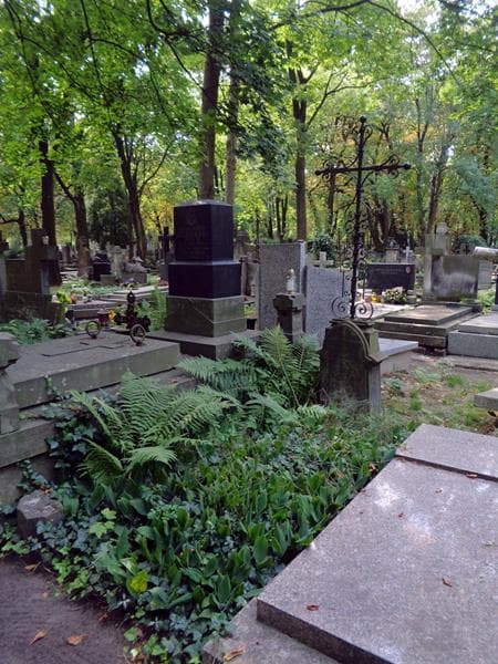 Zdjęcie grobu: Aleksander Albrecht