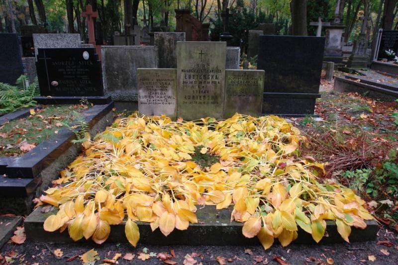 Zdjęcie grobu: Jerzy Cwil