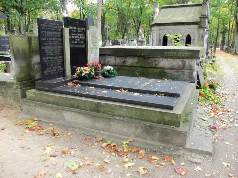 Zdjęcie grobu Stanisław Jankowicz (1)