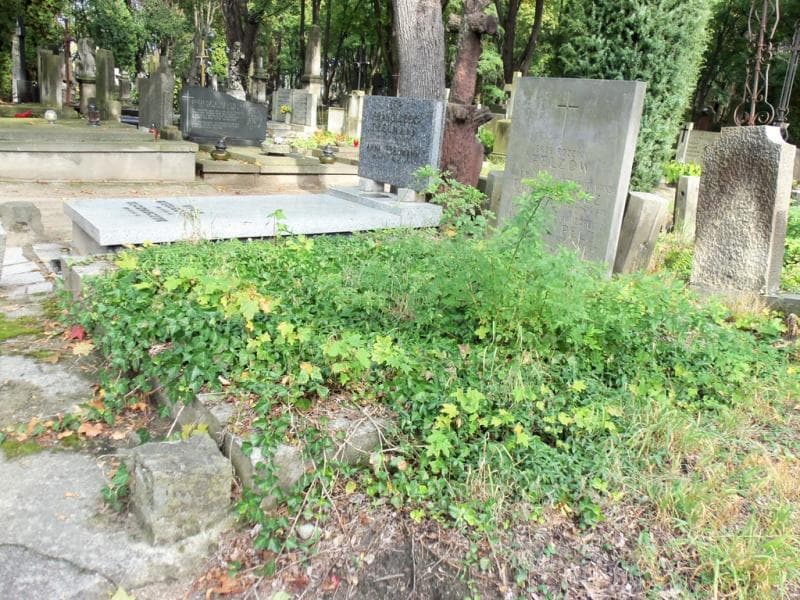 Zdjęcie grobu Leopold Pelz (1)