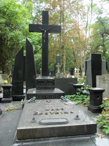 Zdjęcie grobu Stefanja Wołowska (2)
