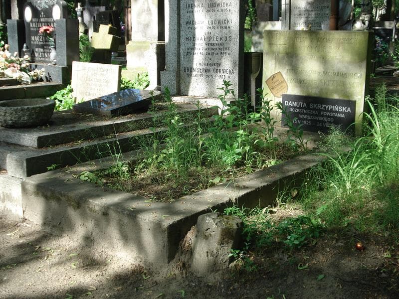 Zdjęcie grobu Julia Culek (1)