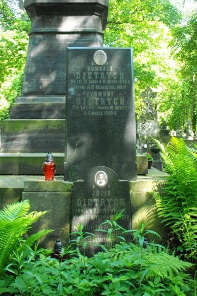 Zdjęcie grobu Zygmunt Dietrych (2)