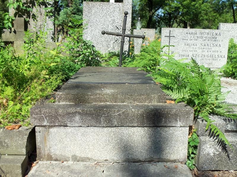 Zdjęcie grobu: Włodzimierz Downarowicz