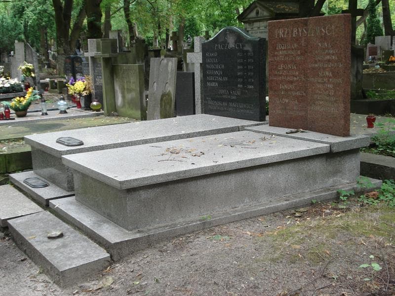 Zdjęcie grobu Zdzisław Przybyszewski (1)