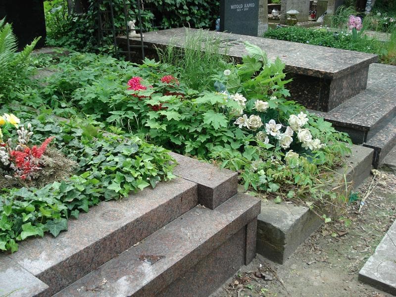 Zdjęcie grobu Witold Alimowicz (1)