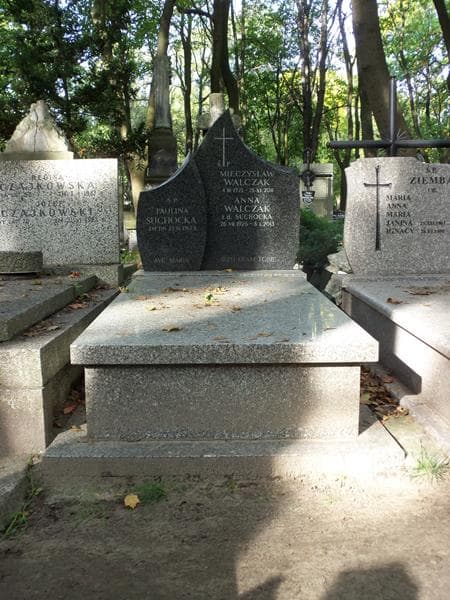 Zdjęcie grobu: Mieczysław Walczak