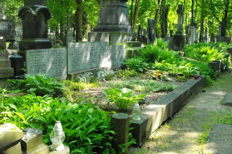 Zdjęcie grobu Edward Czerwiński (2)