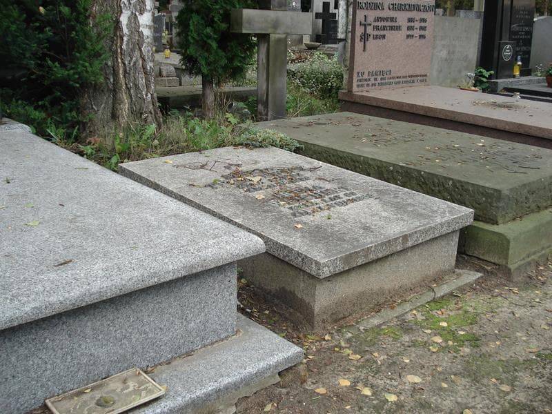 Zdjęcie grobu Maria Terajewicz (1)