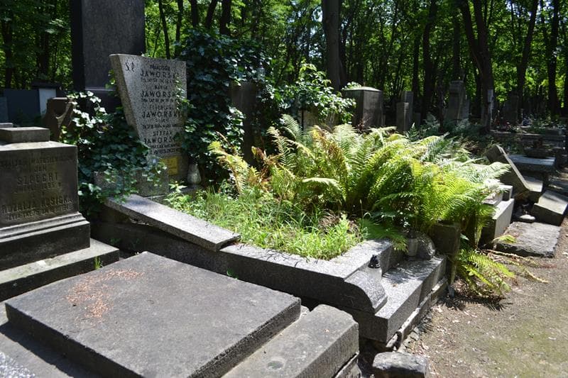 Zdjęcie grobu: Franciszek Jaworski