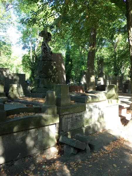 Zdjęcie grobu Wacław Von Ierin (1)