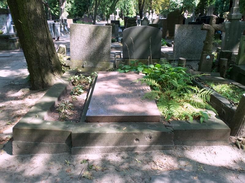 Zdjęcie grobu Czapuis (1)