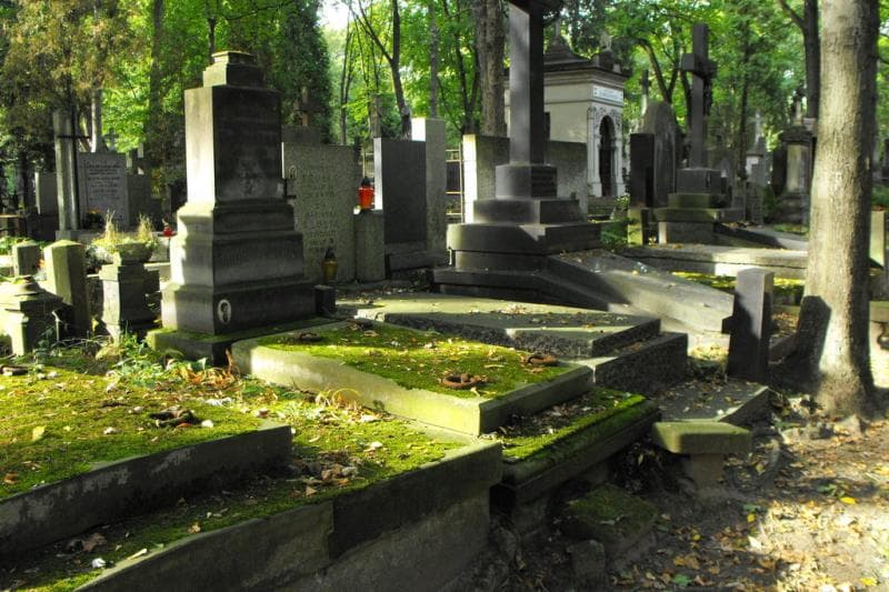 Zdjęcie grobu Zofia Chomiczewska (1)