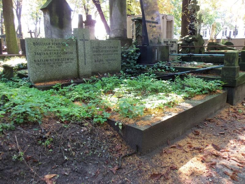 Zdjęcie grobu Szerszonowiczowie Wilamowscy (1)