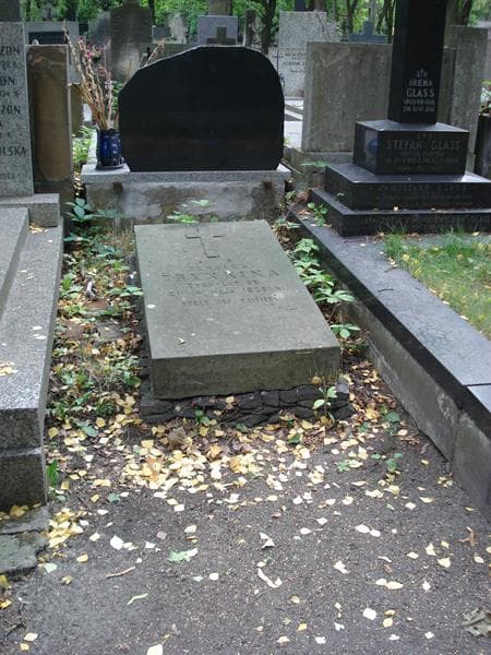 Zdjęcie grobu: Zenaida Trynkina
