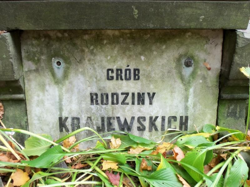 Zdjęcie grobu Krajewscy (2)