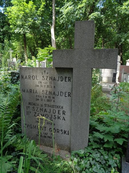 Zdjęcie grobu Zygmunt Górski (2)