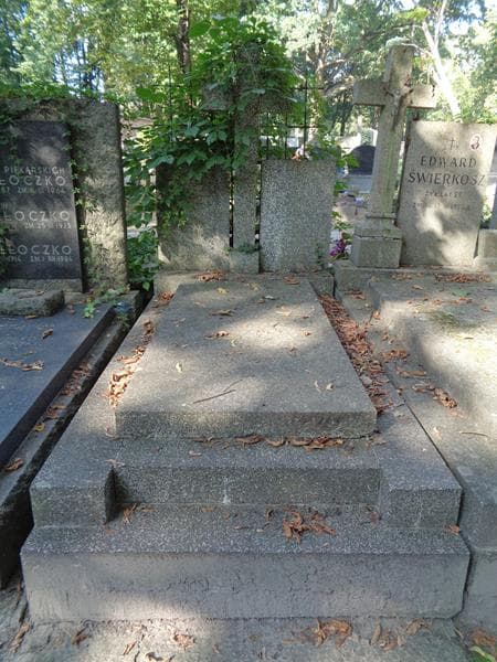 Zdjęcie grobu Stanisław Nowak (1)