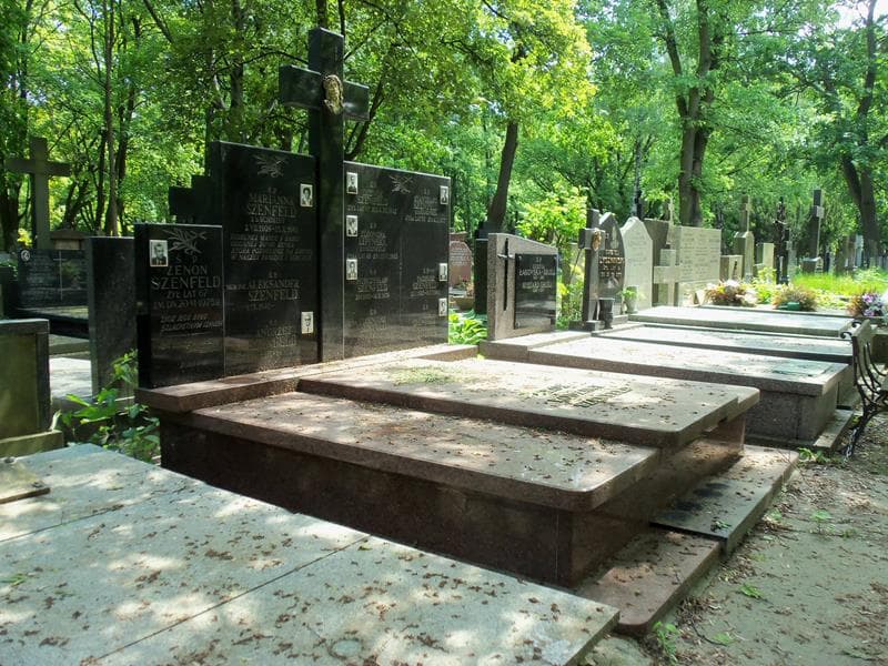 Zdjęcie grobu Ludwik Szenfeld (1)