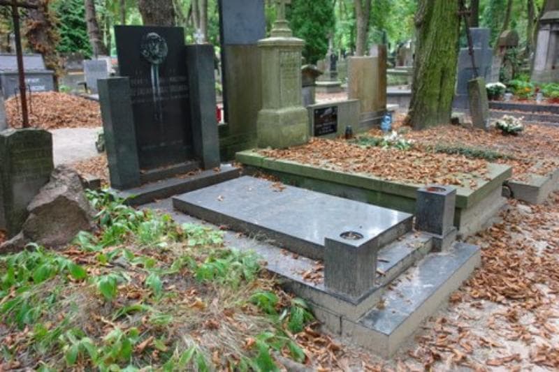Zdjęcie grobu Henryk Lubicz-Strzemiński (1)