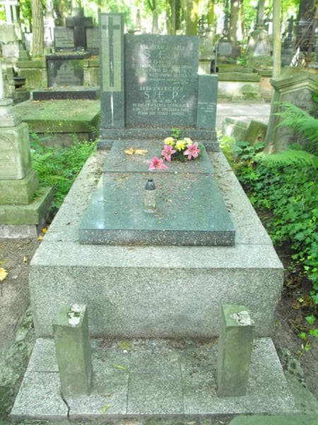 Zdjęcie grobu: Stanisław Andrzej Sęp