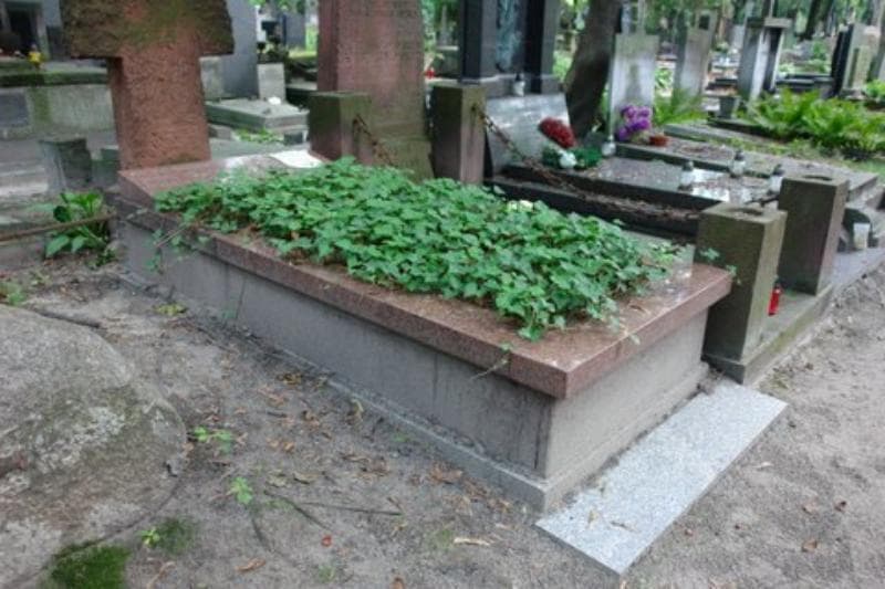 Zdjęcie grobu Maciek Iwanowski (1)