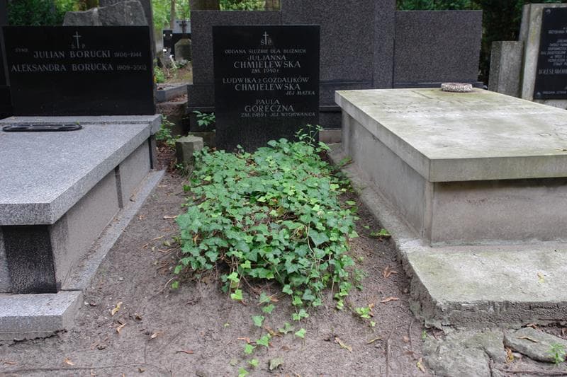 Zdjęcie grobu: Paulina Góreczna