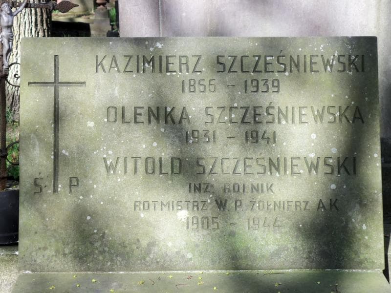 Zdjęcie grobu Kazimierz Szcześniewski (2)