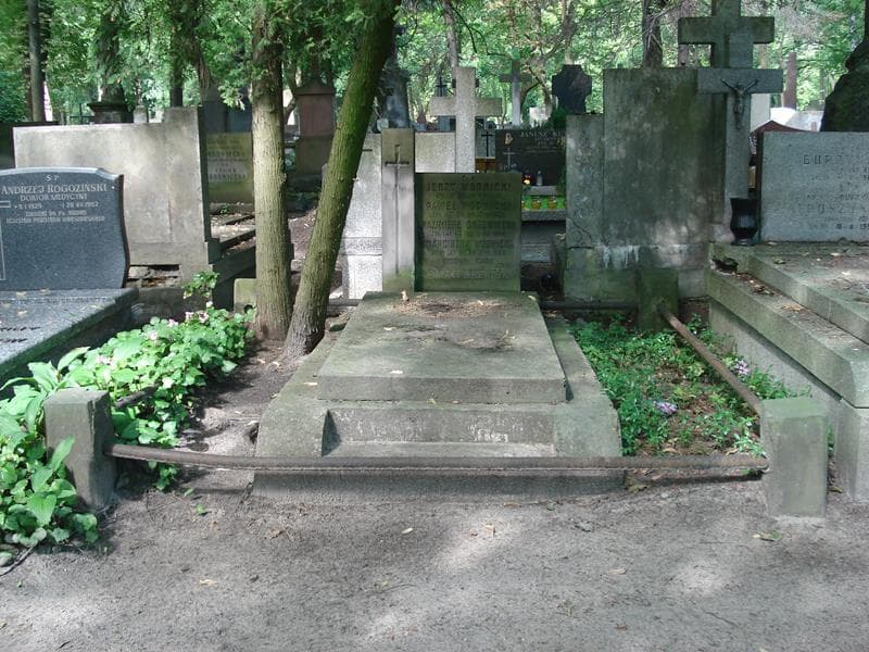 Zdjęcie grobu: Kazimierz Drzewiecki