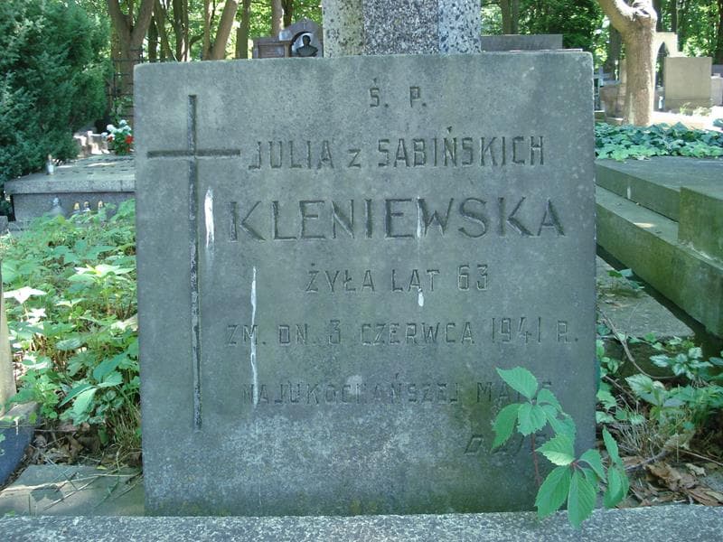 Zdjęcie grobu Julia Kleniewska (1)