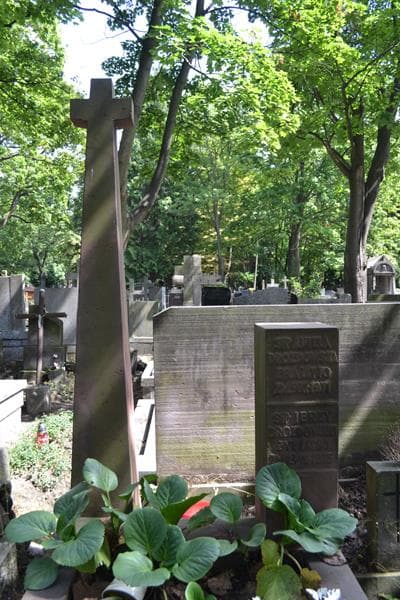Zdjęcie grobu Jerzy Drozdowski (2)