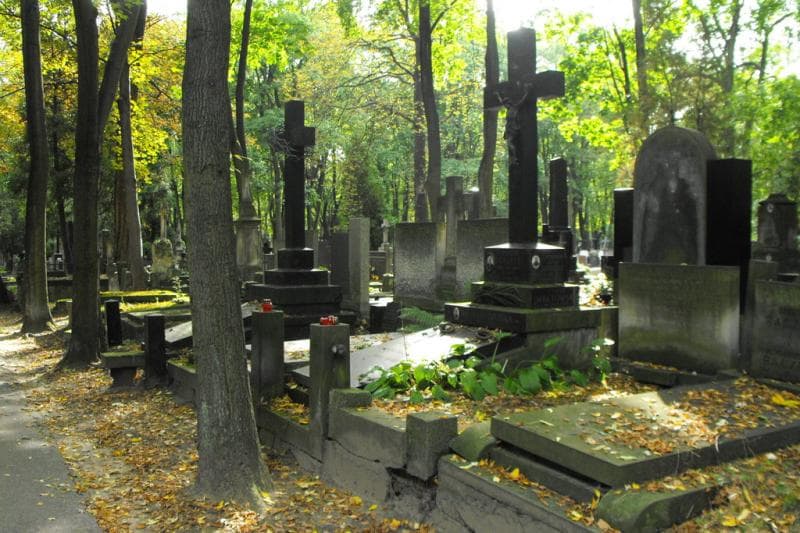 Zdjęcie grobu Alicja Chudzyńska (1)