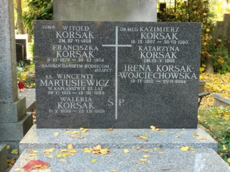 Zdjęcie grobu Wincenty Martusiewicz (2)