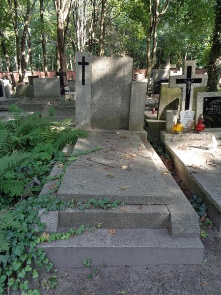 Zdjęcie grobu Stefan Piechowski (1)
