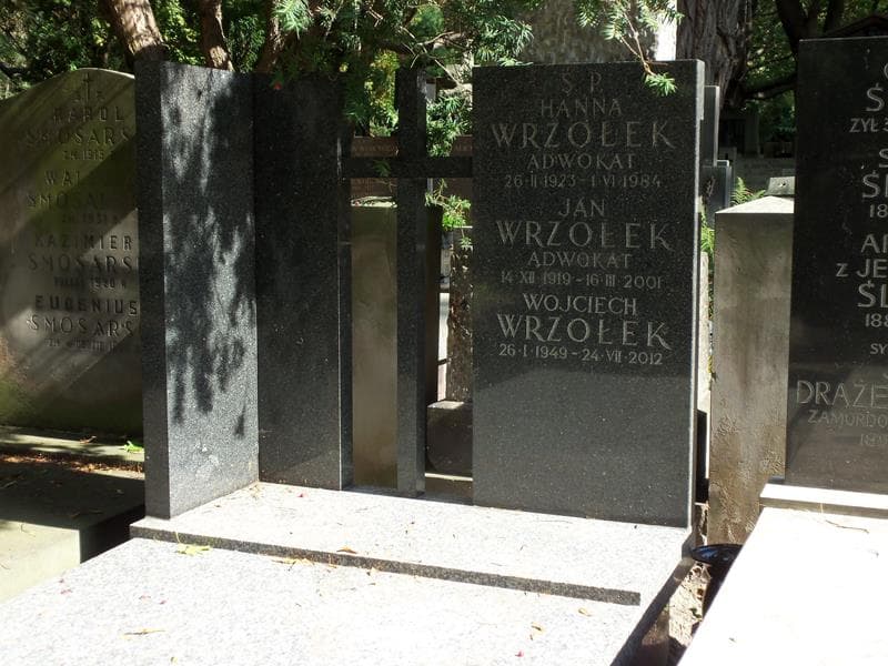 Zdjęcie grobu Jan Wrzołek (2)