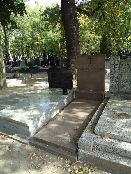 Zdjęcie grobu Radosław Tołwiński (1)