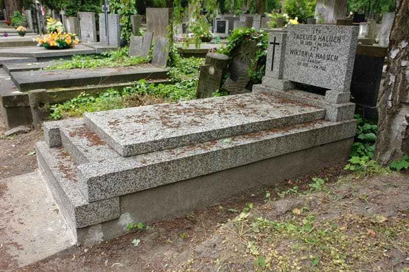 Zdjęcie grobu: Tadeusz Haluch