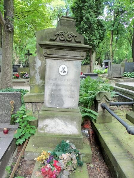 Zdjęcie grobu Leopold Januszewski (1)