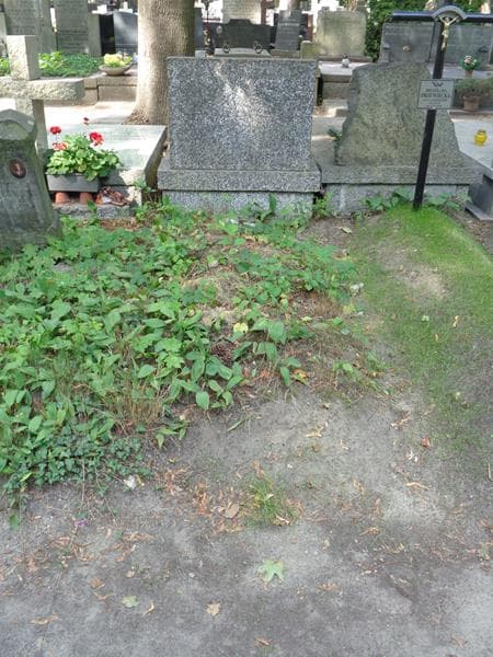 Zdjęcie grobu Pole Grobowe (1)