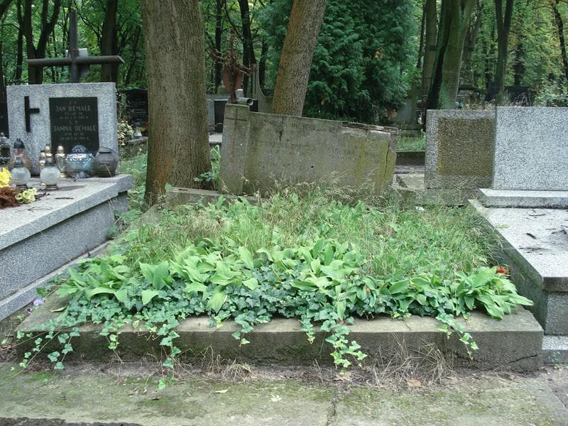 Zdjęcie grobu: Wacława Woln......
