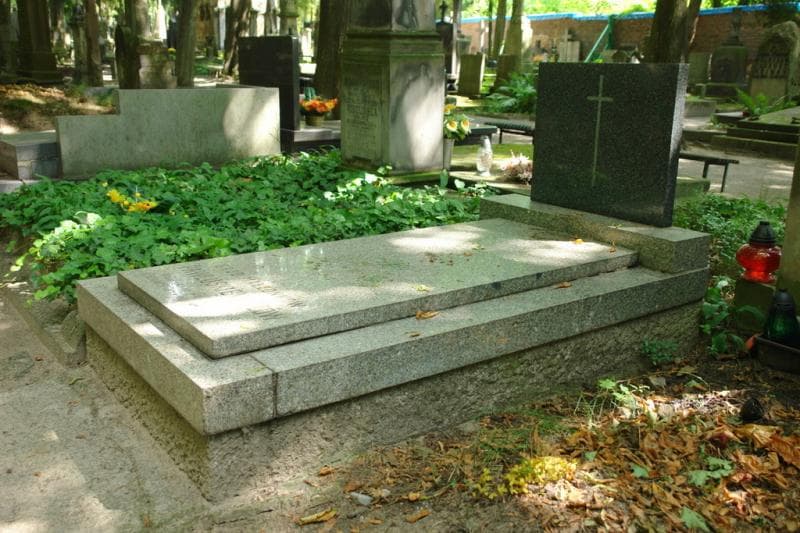 Zdjęcie grobu Aleksander Pawluśkiewicz (1)