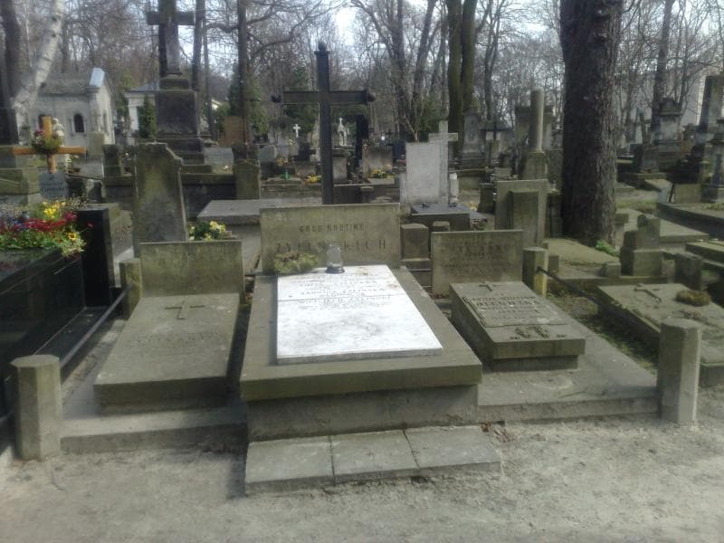 Zdjęcie grobu: Anna Żylińska
