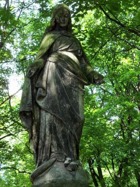 Zdjęcie grobu Anna Hołownia (1)