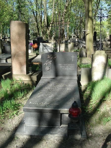 Zdjęcie grobu: Feliks Gozdawa-Giżycki