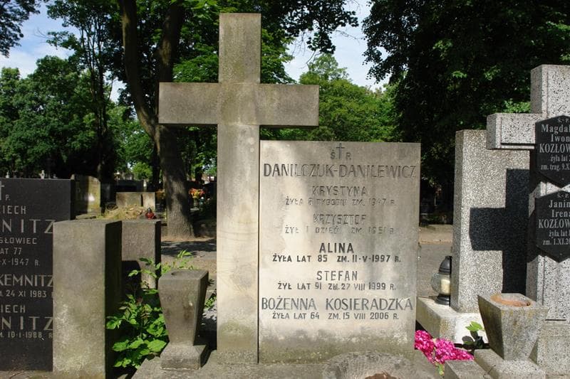 Zdjęcie grobu Stefan Danilczuk-Danilewicz (2)