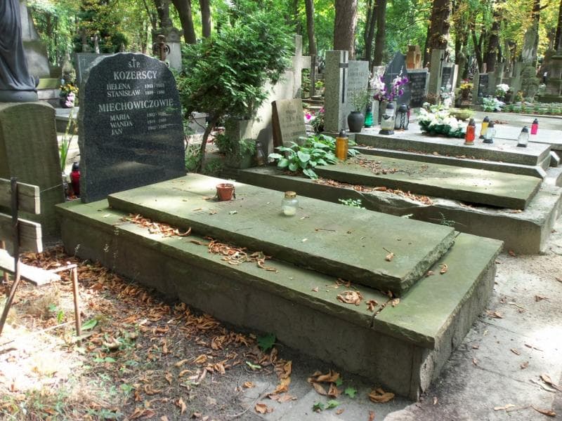 Zdjęcie grobu Maria Miechowicz (1)