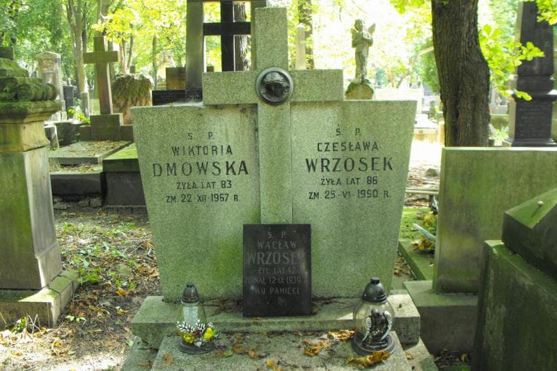 Zdjęcie grobu: Wacław Wrzosek